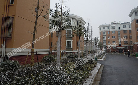 黨校社區(qū)雪景:2012年12月26日,安裝電地暖第一天,當(dāng)?shù)叵缕鹆私穸谝粓?chǎng)雪