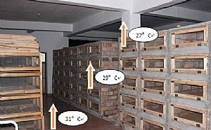 發(fā)熱電纜蛇舍采暖溫度分布圖