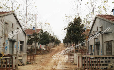 安徽綠健養(yǎng)豬場全景